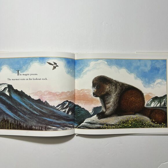 Set Of 2 Childrens Story Books Hardcover Doras Eggs and Morning Noon and Night - Picture 7 of 10